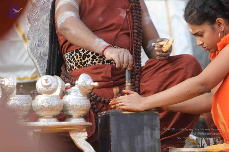 File:20171228 Photo 1255 116IextinBUTCCqrUEuUHdzLUc7sUcpMM.JPG