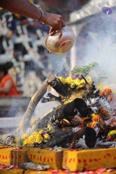 File:20171228 Photo 1263 1RVr STAeGULHIX5A9hDsN18azlpjxola.JPG