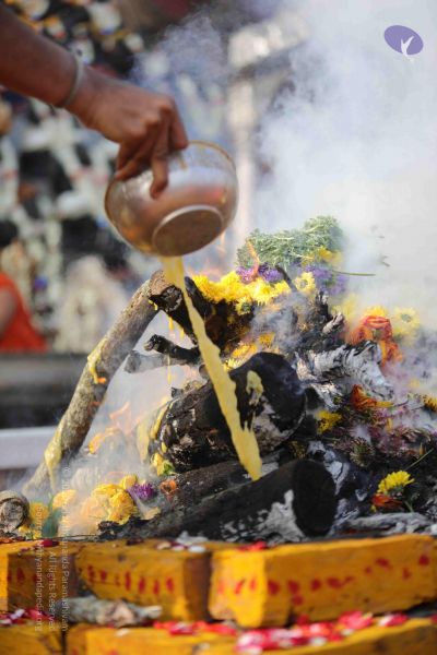 File:20171228 Photo 1265 1fLzoFzCGTtq7aVB H1JAlakUeUlYrh8R.JPG