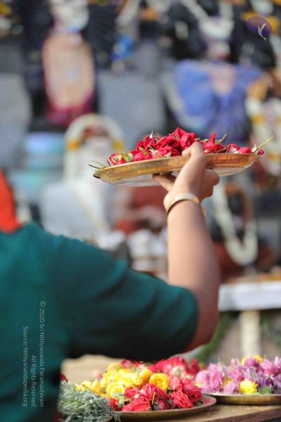 File:20171228 Photo 1271 1NdVnVn62tBgVq1-EnKYjxXXOU622jour.JPG