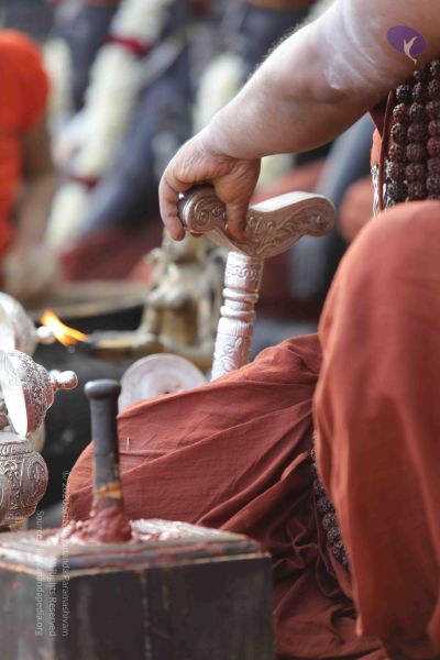 File:20171228 Photo 1292 14EXvxD-GezEq32prPj2nxI6sj-NljldM.JPG