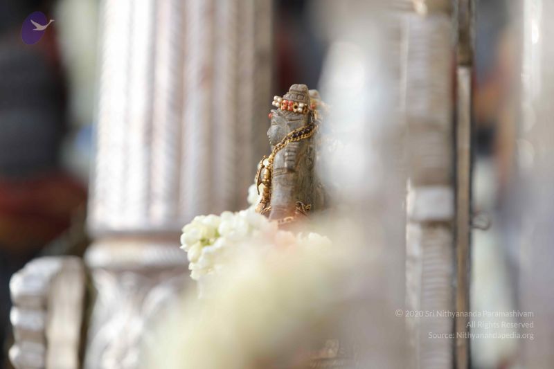 File:20171228 Photo 1295 14ZxscLdMHm JsbL2ZQDDjzFOQhoklrNm.JPG