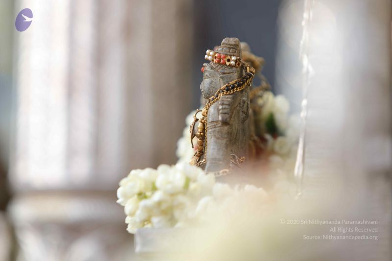 File:20171228 Photo 1296 1XunYcIbctNkuOSXifXlqPLw3whWHm0mG.JPG