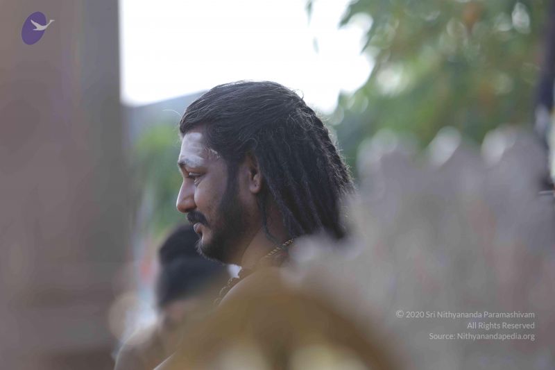 File:20171228 Photo 1306 142JM0CQFs-N2B8DhiHbPL56L435T9MeQ.JPG