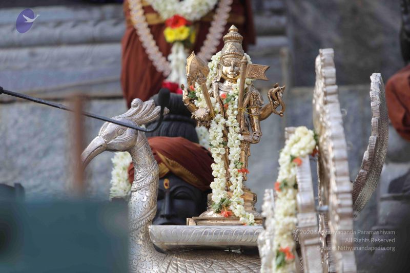 File:20171228 Photo 1323 1IYfhZbc5EpGE1Fp9xmWyEOk4lC5H1Prv.JPG