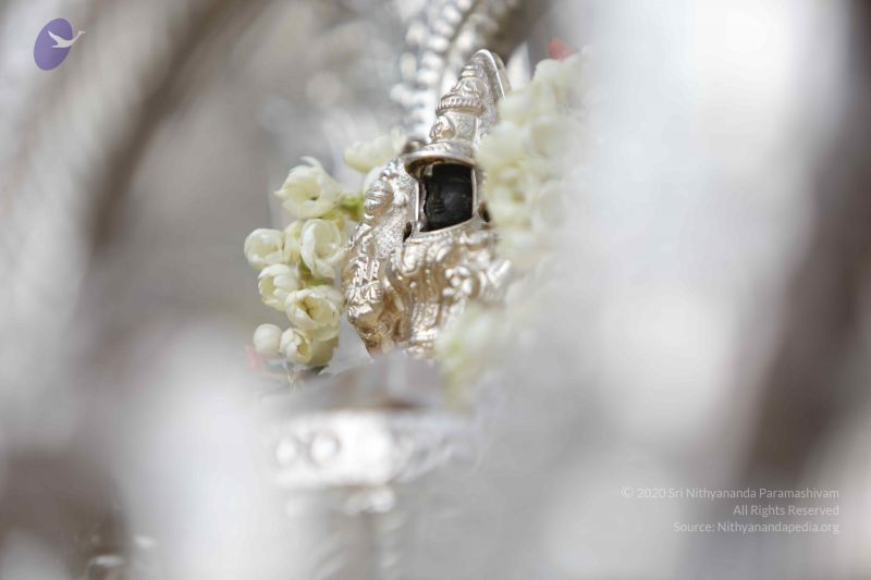 File:20171228 Photo 1330 15f86DRSlonam-LvIY0vFB67fn3PAF2nu.JPG