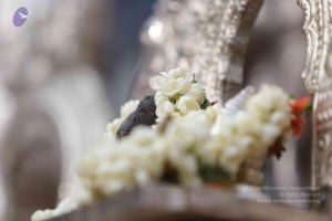 20171228 Photo 1332 1fD-YcQkXtHU7PnbYGN5L97s6jXXf95Br.JPG