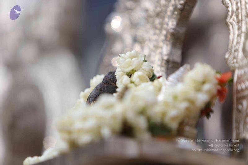 File:20171228 Photo 1332 1fD-YcQkXtHU7PnbYGN5L97s6jXXf95Br.JPG