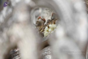 20171228 Photo 1334 1zpWAS0YNpiMu-LNDljX4CrUoM9y p5MS.JPG