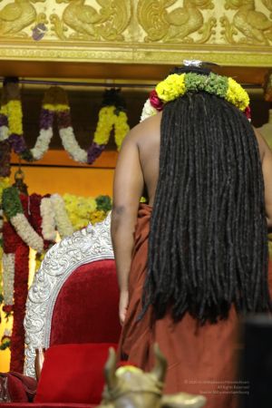 20171231 Photo 1511 13WCSZactYO2LsC9AhSe61RqUr7JsdRZ5.JPG