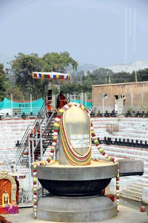 20180101 7T7A2894 CMP WM 11.jpg