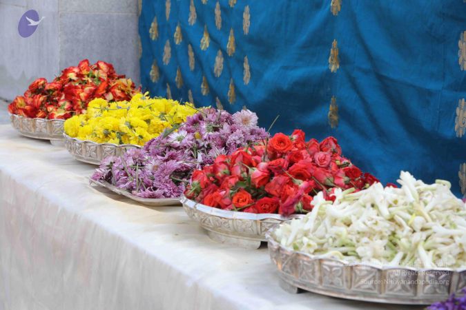 20180101 Photo 1004 1NHa-uA2XgRUkCPD2W3xH9vaEsQrVIoM3.JPG