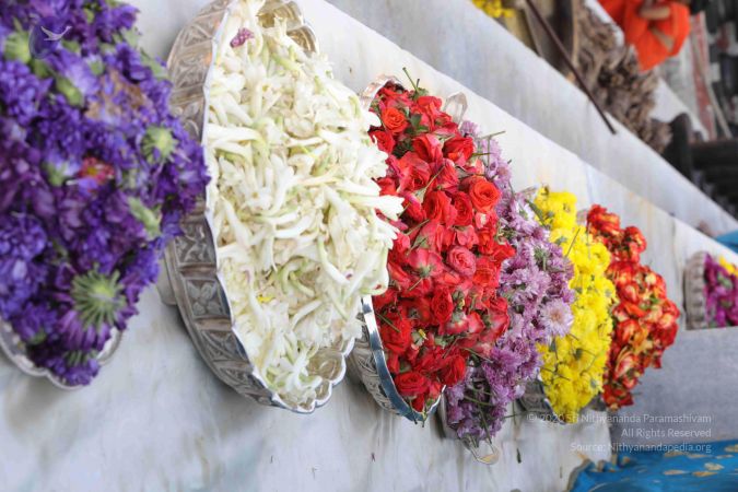 20180101 Photo 1031 1jYnxiGLxIWZmGLXXCb3sUUF0SRMsZiMs.JPG