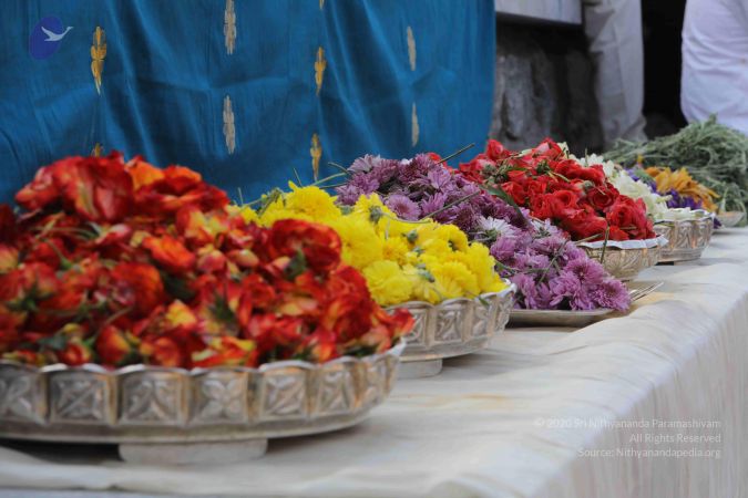 20180101 Photo 1054 1 ozDas2XMJnZ4fBXKHkyUuLyJ3evmVFV.JPG