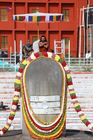 20180101 Photo 145 1 Vyf41ZwAg67VPb84eivFq9sSLqlvFBy.jpg