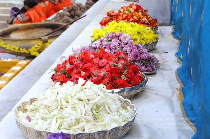 20180101 Photo 351 1wHuwCkI4wxACWj-CMCdgoByh9vEQxgV .jpg