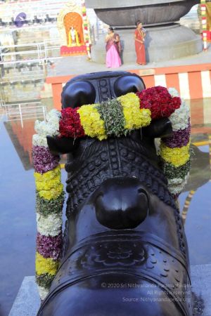 20180101 Photo 365 1UYWDoRMwakyORmp4FutdKayGFZ2Kt5JS.jpg