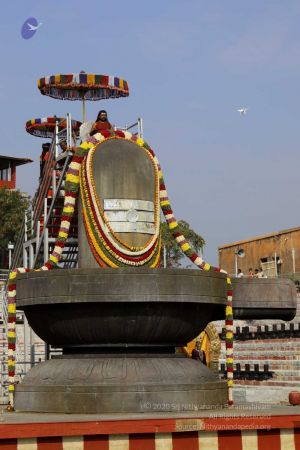 20180101 Photo 434 1LOTfnS6mvqoLi5rhWV6DGsiWIGG0kfWv.jpg