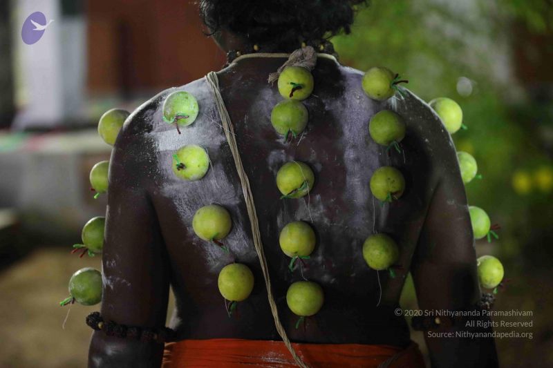 File:20180103 Photo 1081 1XnDa6hr9dZg5lvwpVZ4URUIH0fKfOOX1.JPG