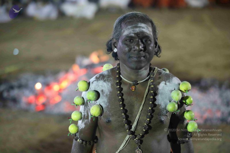 File:20180103 Photo 1082 1uTomAhNTjRhNr6jBv3NkA7HSm6G1K-ox.JPG