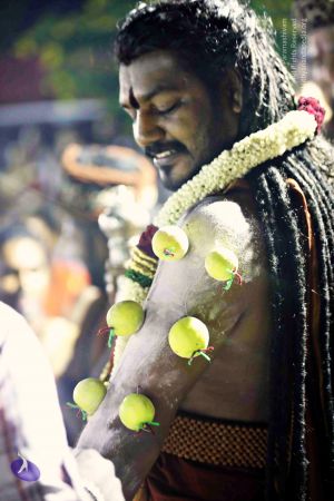 20180103 Photo 1122 1trAFH3i7zoHEgwL9LJhuOG5Tp9N7d3KM.JPG