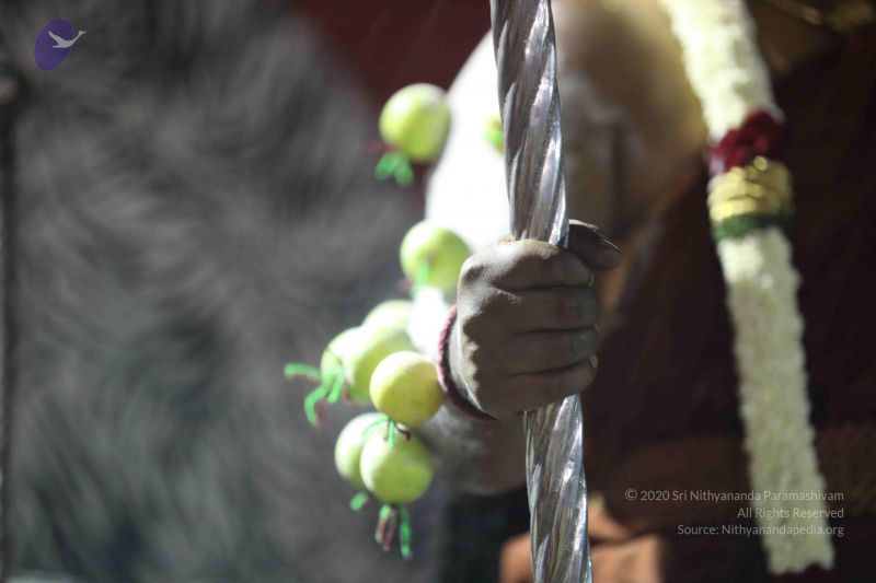 File:20180103 Photo 1157 1UQuMDMxSqMjtujbMGR1mwv4hzXdM-Pro.JPG