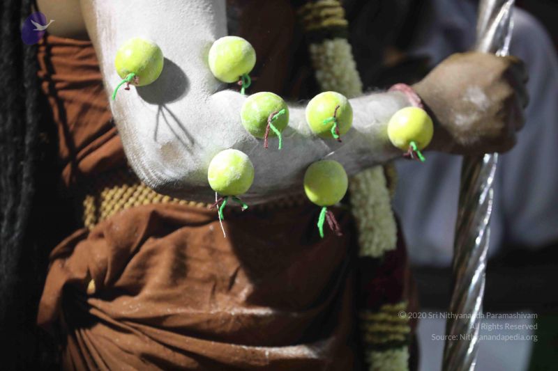 File:20180103 Photo 1159 1p4qK6bYda6tLE7MGRPPqtFZscitA0DM .JPG