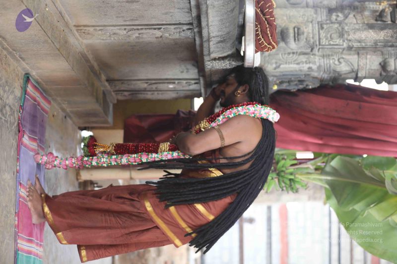 File:20180109 Photo 1063 1TQ1mJjenaZNMvfLCoLzX8Ey3HnJTGOjs.JPG