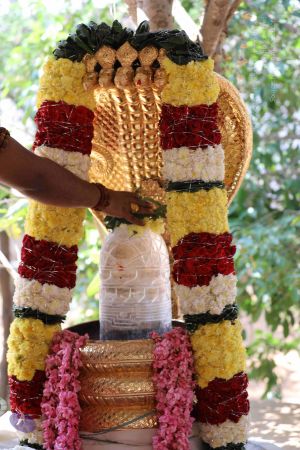 20180114 Photo 1126 1aZ7YoQtjDqX6Gyc uCwQRdAoTUy5x4Bt.JPG