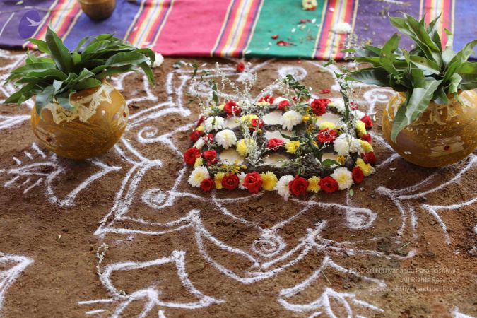 20180114 Photo 1420 1jMtZZZrVcsgJh6pzudgz2mmcNrNwqH0C.JPG