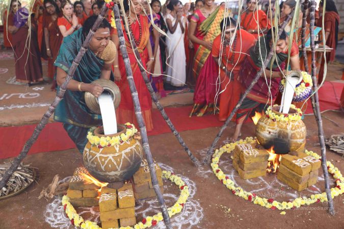 20180114 Photo 1451 1mQyMG3yuBwtXGegFTDdUDpv3YEjq9jfj.JPG