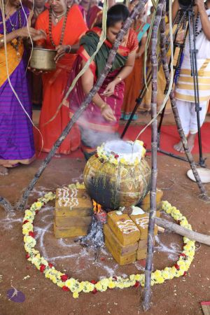 20180114 Photo 1479 1aS82s-blYj1sB2w8hPAyVKdZpCg3jTmr.JPG