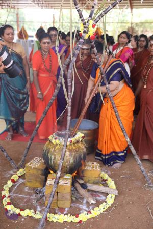 20180114 Photo 1500 1dFZfaUgkECapYatrB9sWLyPqnd04NdZn.JPG