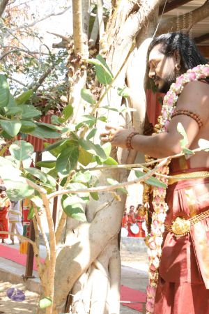 20180114 Photo 1548 1JUlkpcPcN8edH0tNTJ7ZhDnYuXR5BHp .JPG