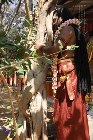 20180114 Photo 1550 1oMSFSCDBx IWsxI7XDaxPLsPIPDKMqyH.JPG