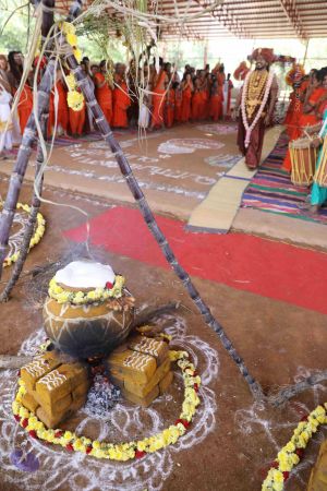 20180114 Photo 1603 1IFsoOV6PRryWypO8Ko5SP4N2D5JEv3Qu.JPG