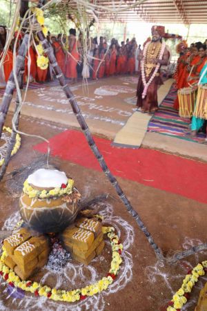 20180114 Photo 1605 1rOxRh7fZupfX8Fx2zmXLFl605H9IFuDm.JPG