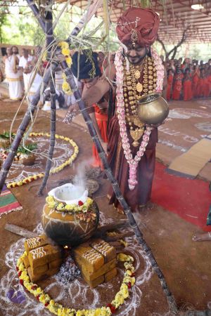 20180114 Photo 1623 1N6CzhXQizQJ8sNI8oo516UafeDnvYhtE.JPG