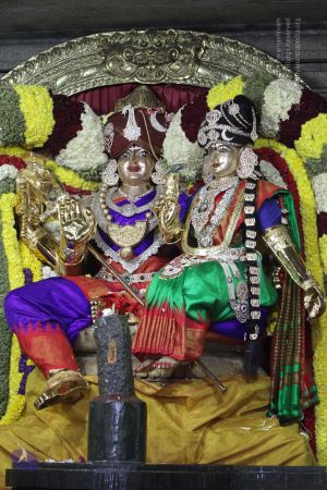 20180114 Photo 1679 1hgnODf5pOLtopKMa pqWJrpnBdlHf4uR.JPG