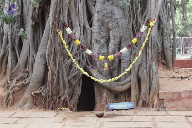 20180114 Photo 1690 1IwFp3FbauhK1AkLHt3ohDNeYRoZ1q wU.JPG