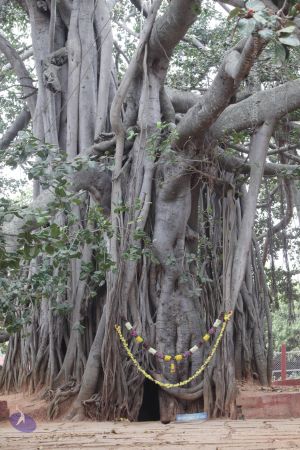 20180114 Photo 1691 1gvVJZ69h6FgykmITxf6Xi58WbSs7ECuD.JPG