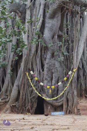 20180114 Photo 1692 13DvGM1JSJtA8n6NdNklcf6BU0JDUqiHu.JPG