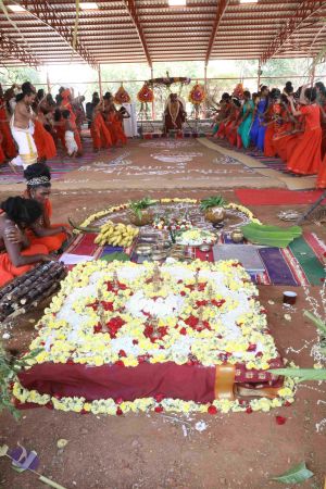 20180114 Photo 1721 1aycIm19uyt2lWz78fnBxbB-C4tSx6LM9.JPG