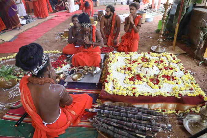 20180114 Photo 1792 1H6-bkvC9tL3mLVhNJI887fD5j0oVB8xR.JPG