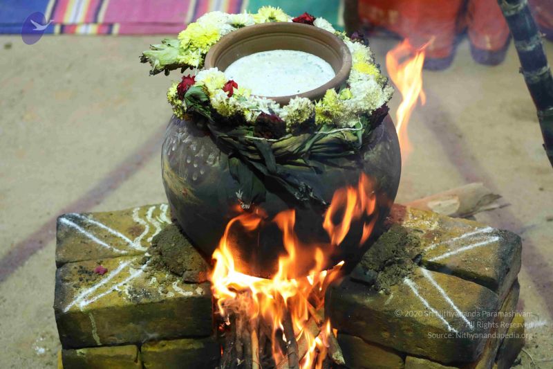 File:20180115 Photo 1000 1y57iRXnHwFEOPeJ4-KmvS3OU4lKLdFxN.JPG