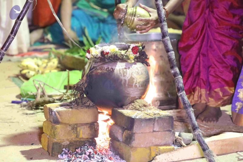 File:20180115 Photo 1019 1chjzGe2ffvmAeGLJcpvqCOoYfgCa30T2.JPG