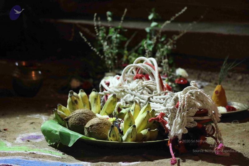 File:20180115 Photo 1039 1mgKTbMVw52QDnG4SCrM8cjIT9clMDCLD.JPG