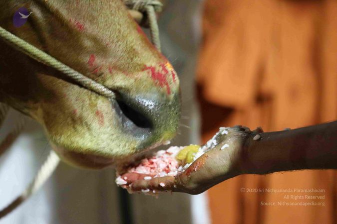 20180115 Photo 1045 17I3XGCHvWiZQpMzo0D93P Ij8llTlGJv.JPG