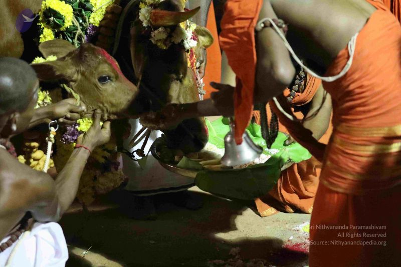 File:20180115 Photo 1048 1vCela7e7RDe-XE8KGWZymgglg7J4tqZ5.JPG