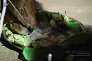 20180115 Photo 1049 1zOc6kVkxW0YKI03omGoKHH7ffAc8hWVB.JPG